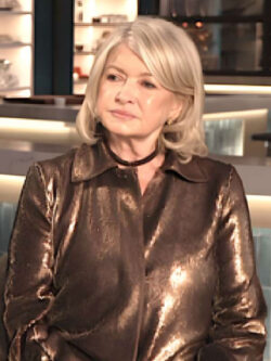 Martha Stewart Access Daily 2025 Flip Sequin Shirt Jacket