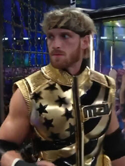WWE Chamber Logan Paul Star Vest New