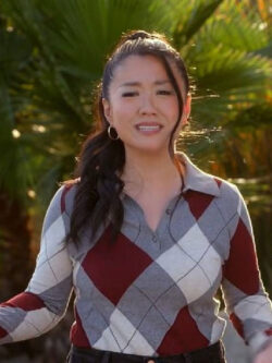 Wild Vacation Rentals Shery Cola Argyle Polo Sweater New